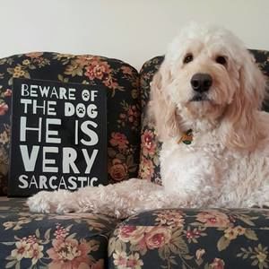 Meet your Posher, Sharon